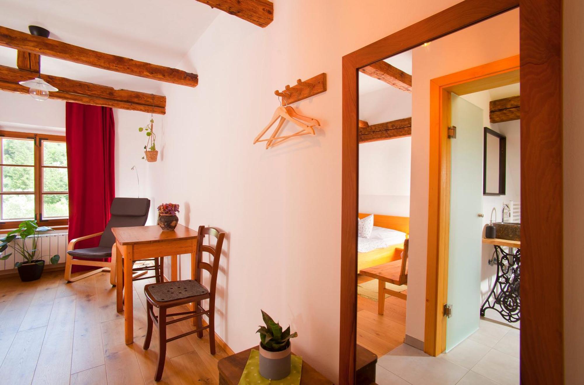 Juvanova Hisa - Apartments And Rooms Luče Εξωτερικό φωτογραφία