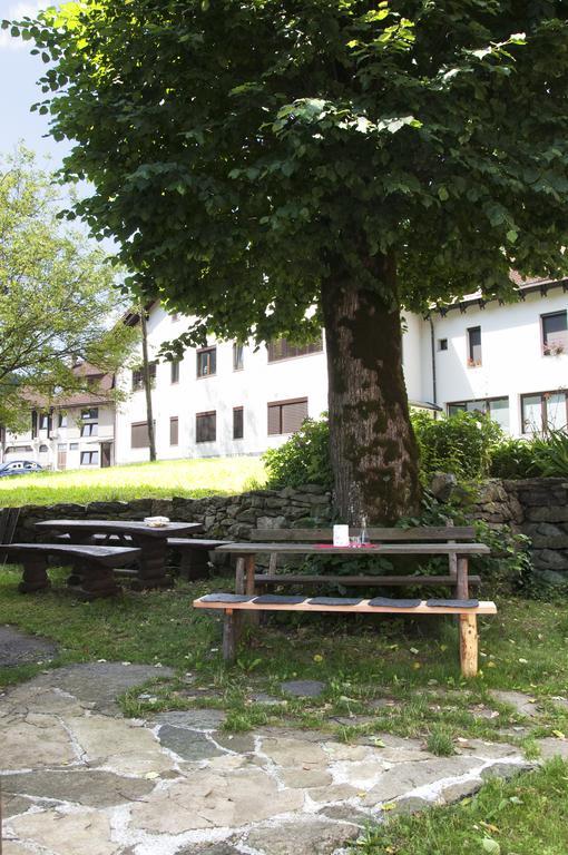 Juvanova Hisa - Apartments And Rooms Luče Εξωτερικό φωτογραφία
